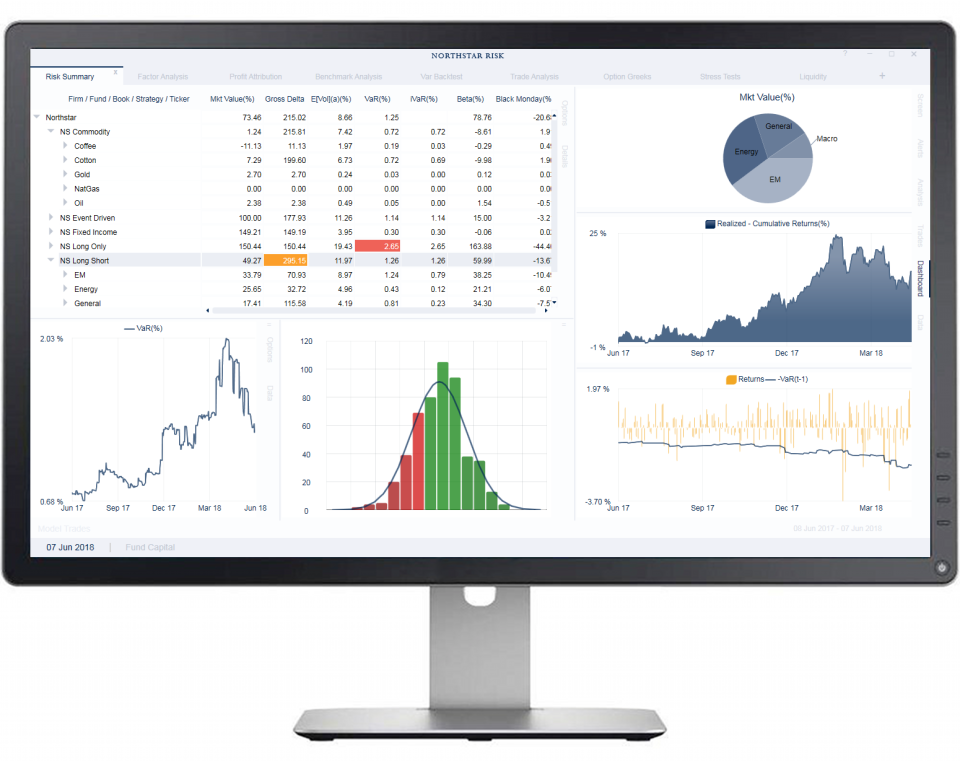 screenshot of Northstar Risk/Performance Software